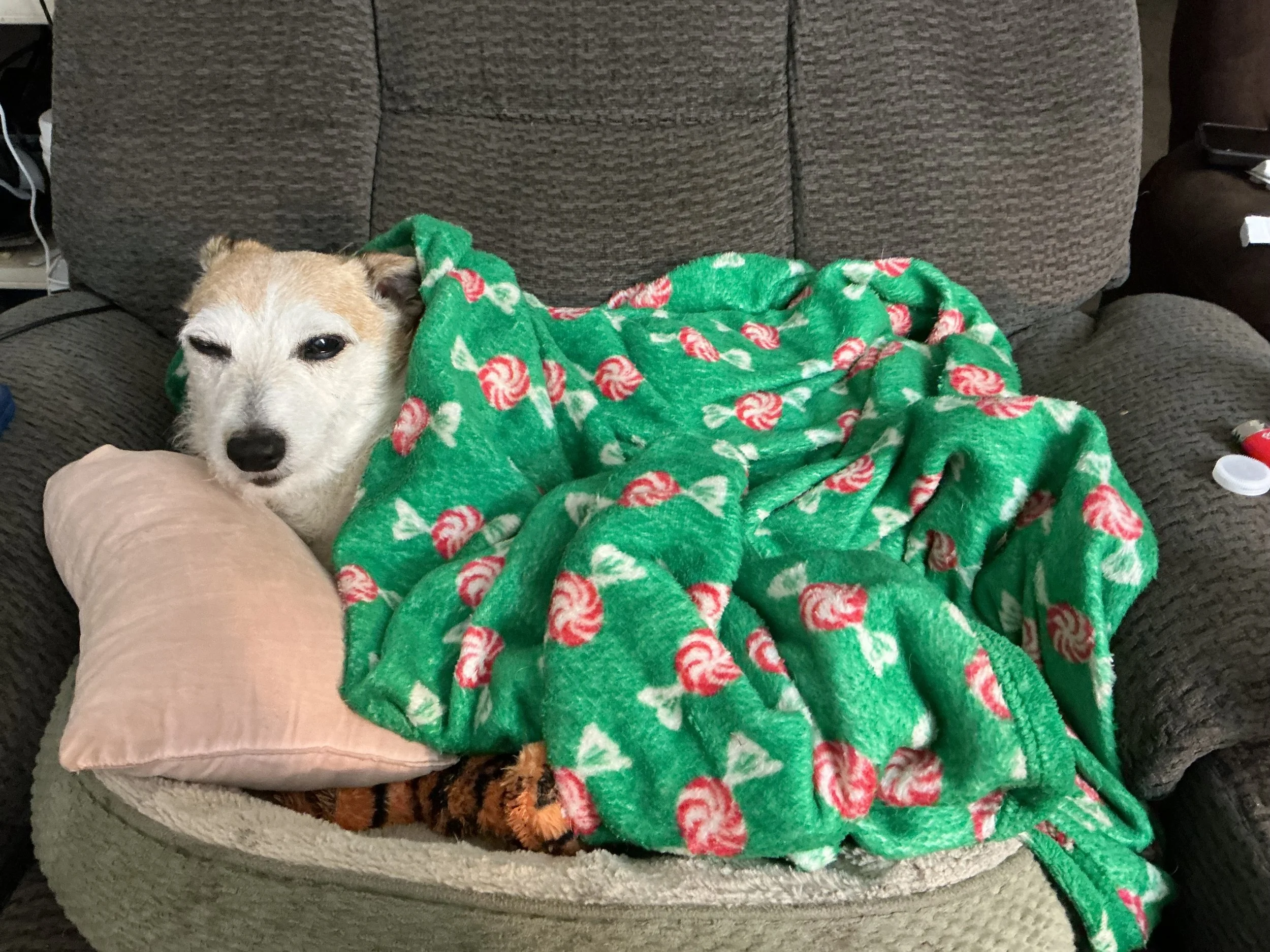 IMG_0006.jpeg