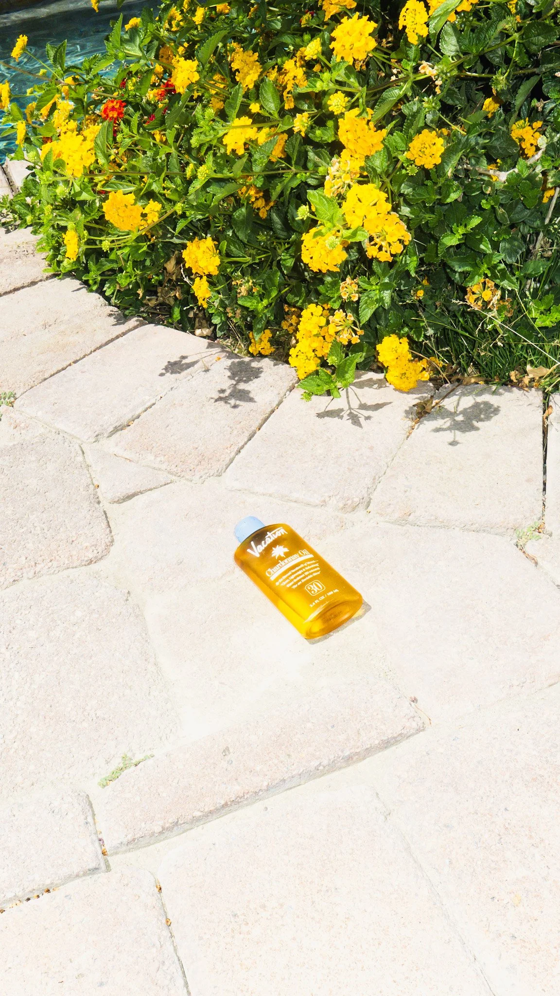 Yellow flowering bush next to a stone pathway with a bottle labeled 'Vacation' on the ground.