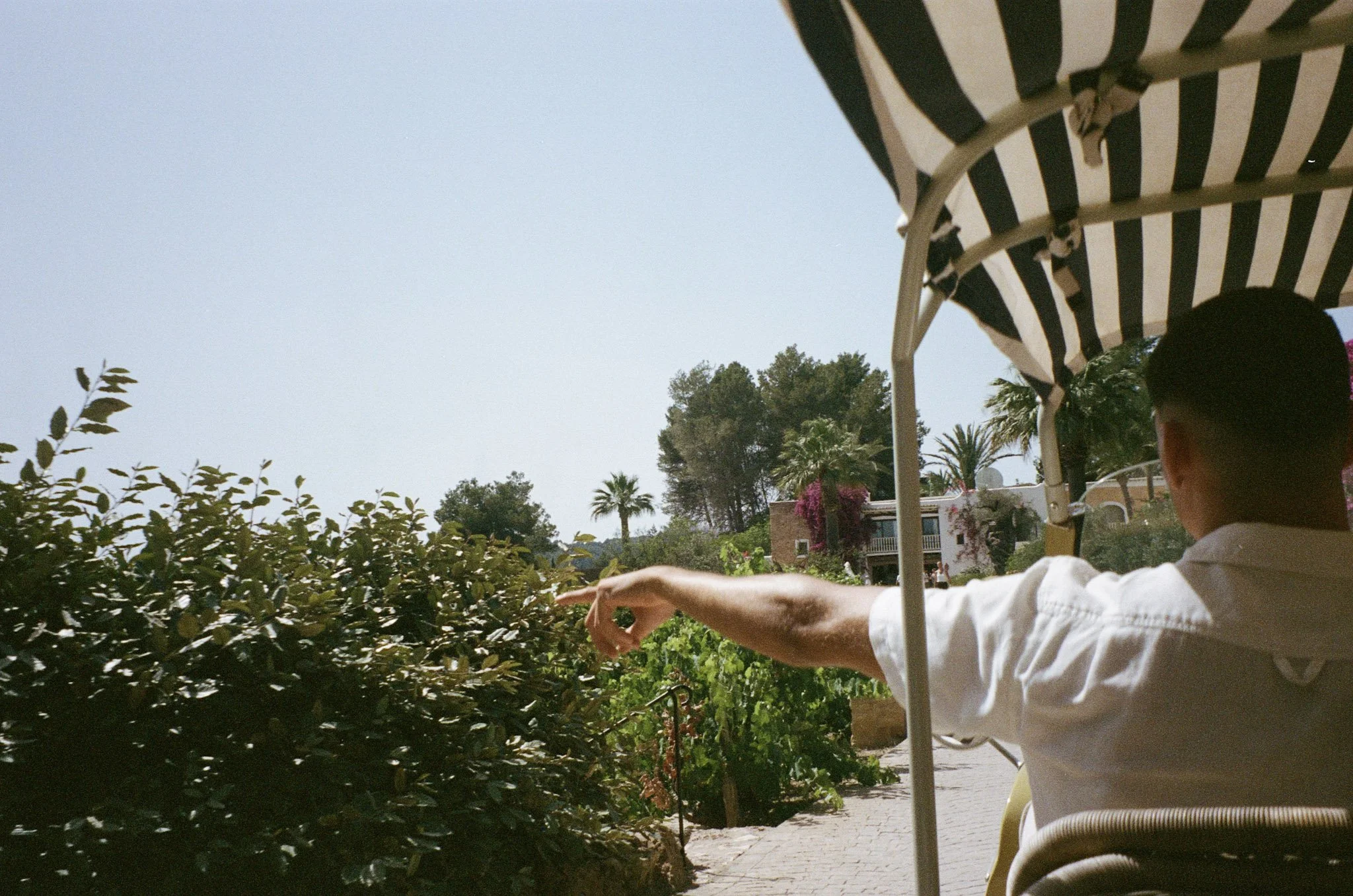 View of a person wearing a striped hat and white shirt, extending their arm toward a hedge in a garden or outdoor patio area, with palm trees and a residential building in the background under a clear sky.