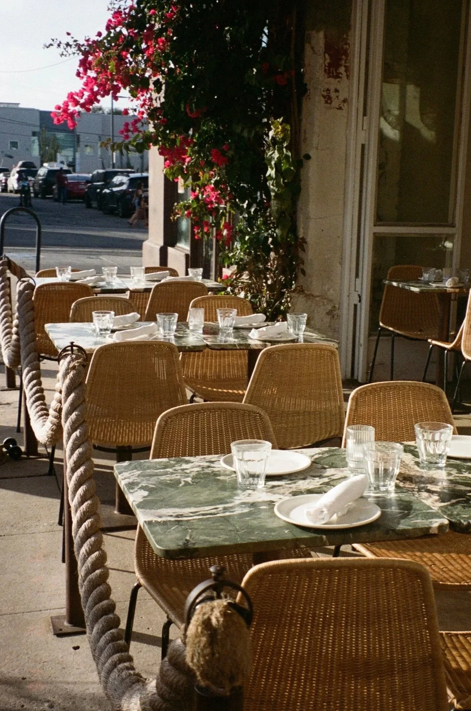 Empty outdoor restaurant tables with glassware and napkins, metal chairs, facing a brick wall with large windows, decorated with pink bougainvillea flowers, street with parked cars in the background.