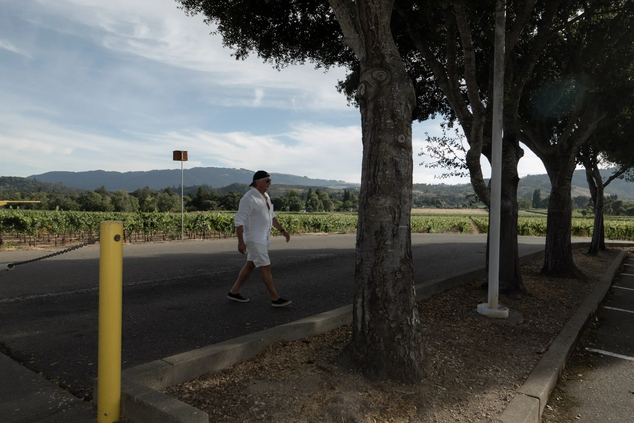 A man wearing a white shirt, shorts, and sunglasses walking along a sidewalk with trees and a vineyard in the background, under a partly cloudy sky.