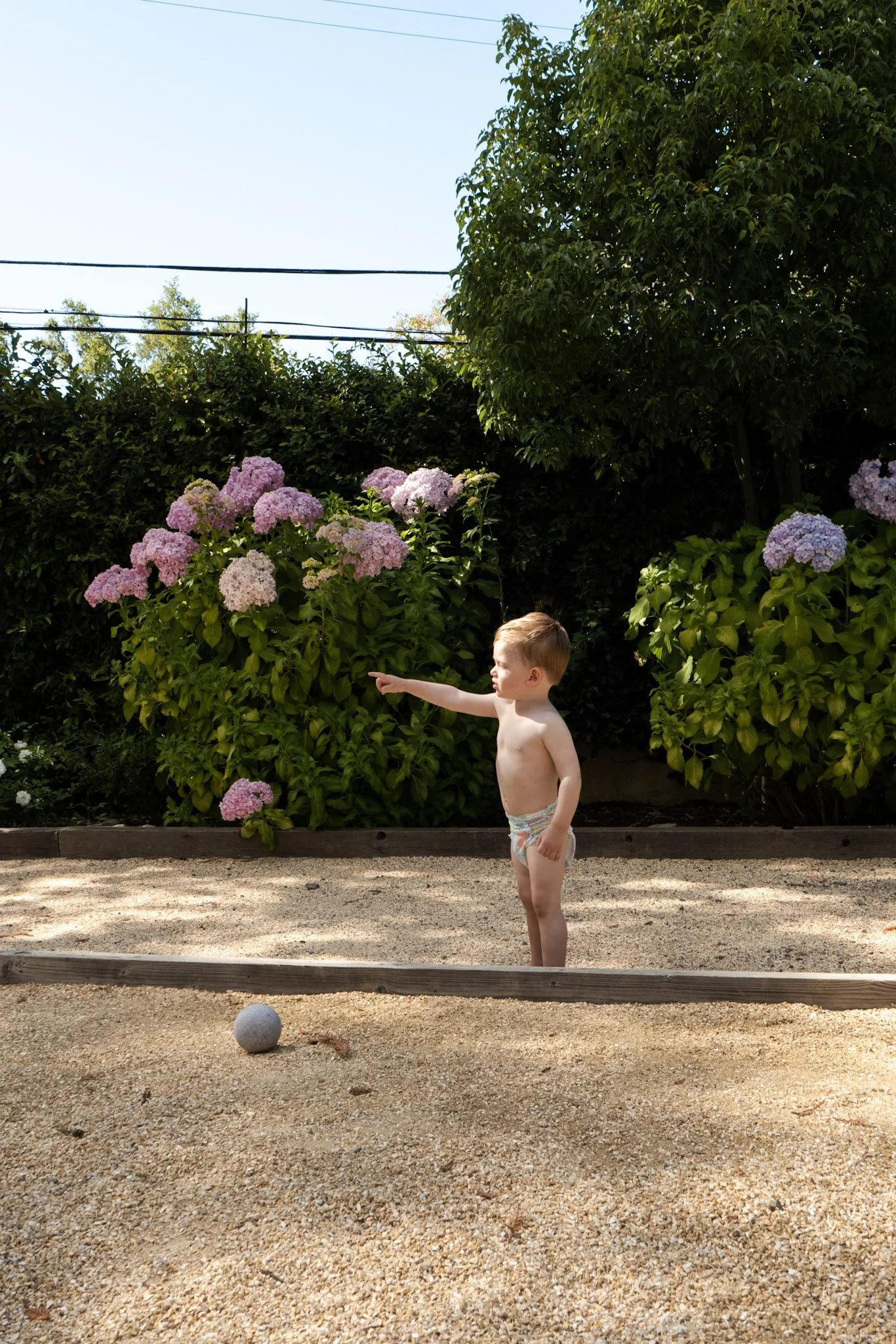 A shirtless young boy in underwear standing in a sandy outdoor area, pointing at a ball. There are pink hydrangea flowers and green bushes in the background, with a clear blue sky above.