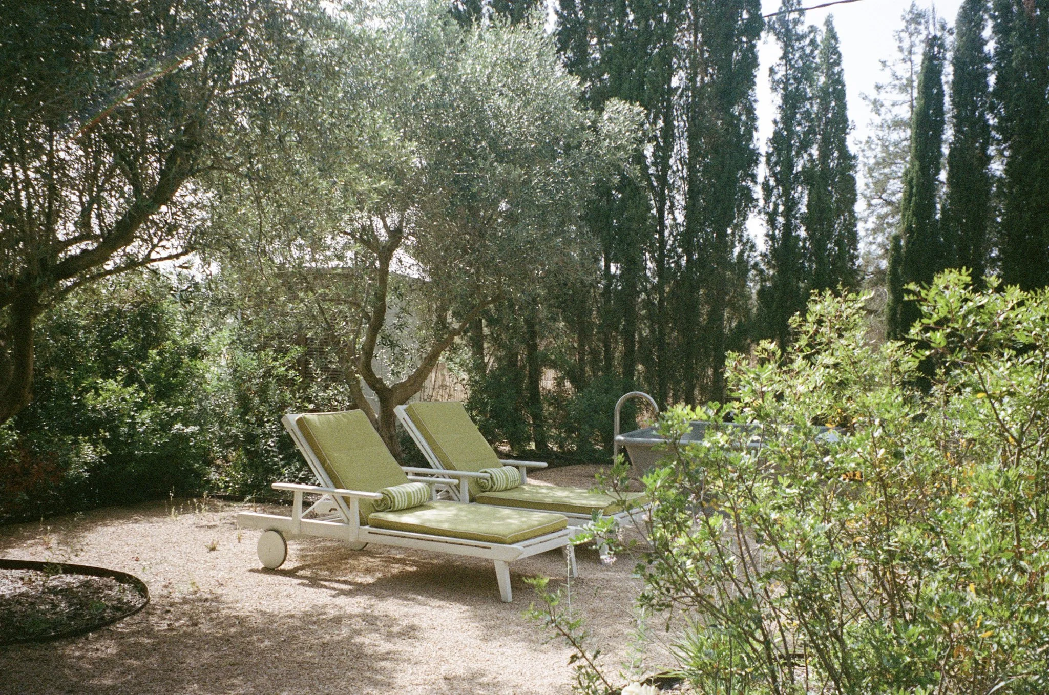 A backyard scene with two lime green lounge chairs with matching striped cushions, surrounded by lush bushes and tall trees, under clear sunny skies.