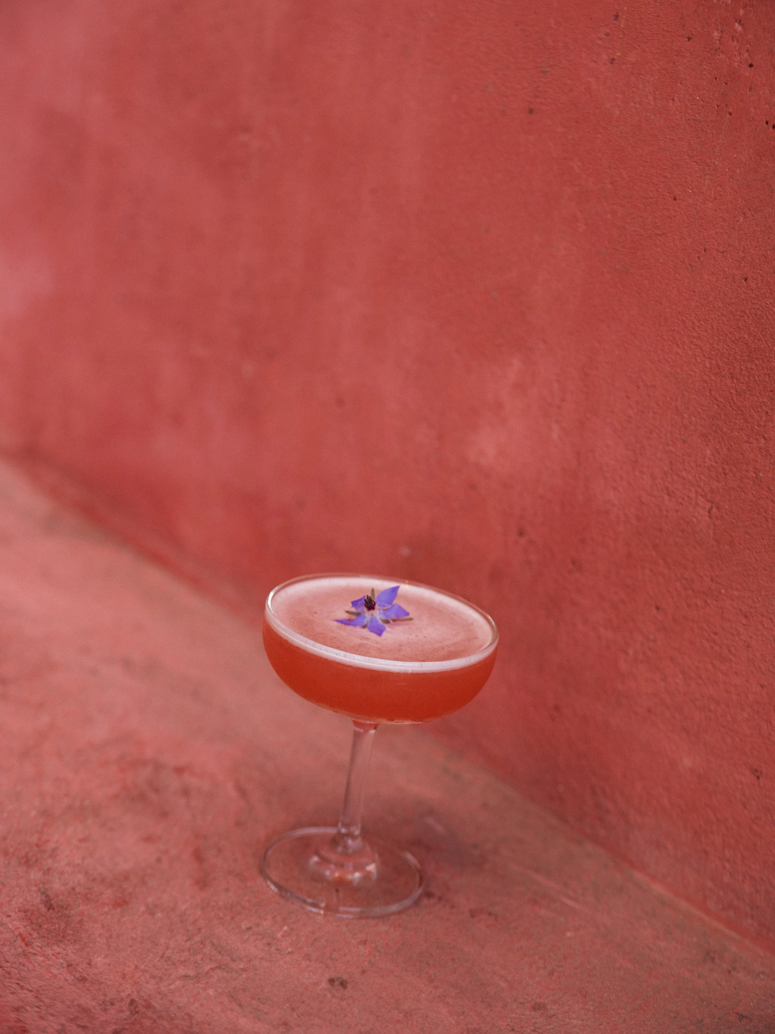 Great White x Pink Drink-02.jpg