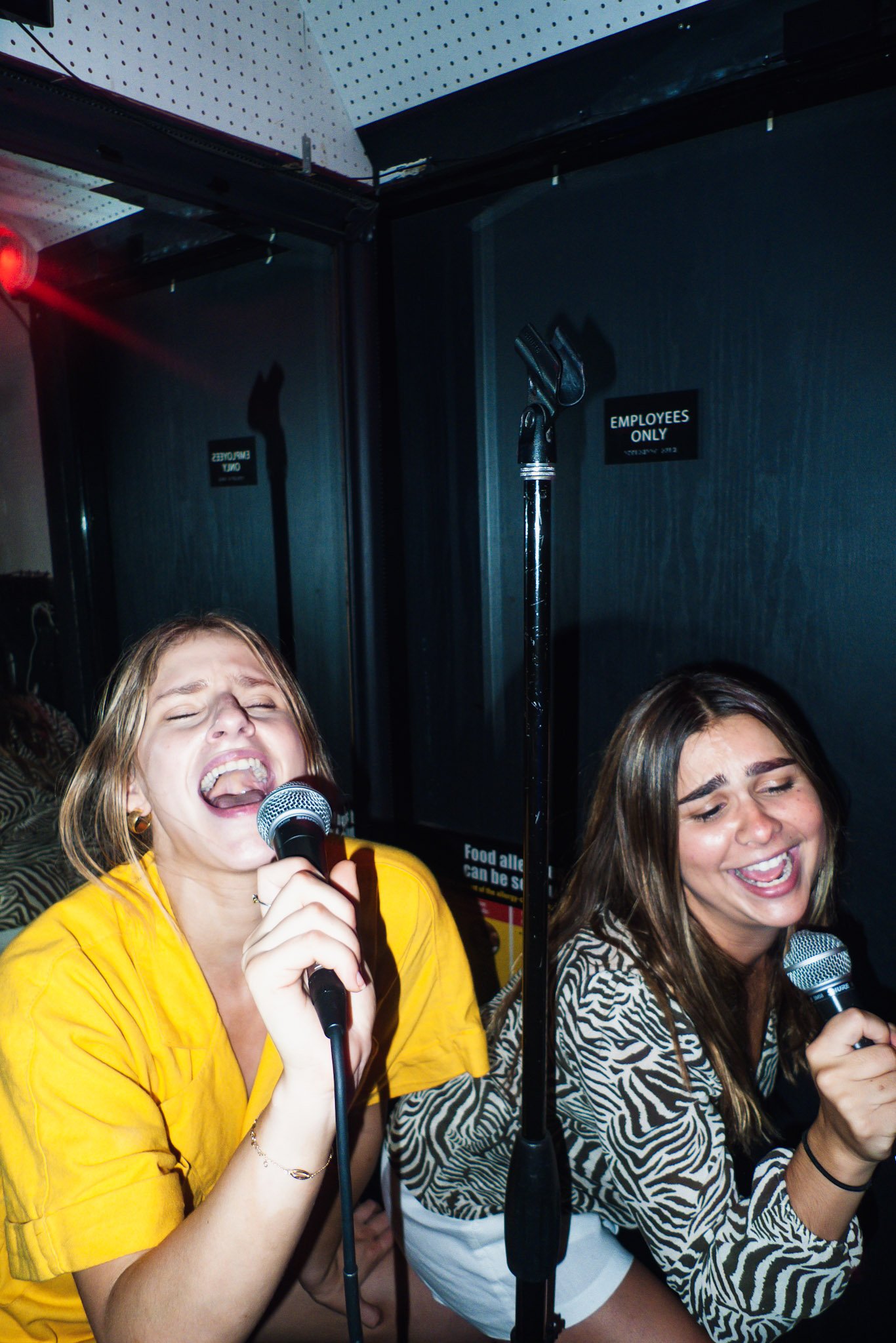 Two women singing passionately into microphones at a karaoke or music event. One wears a yellow top, and the other wears a zebra print top. They are smiling and appear to be enjoying themselves.