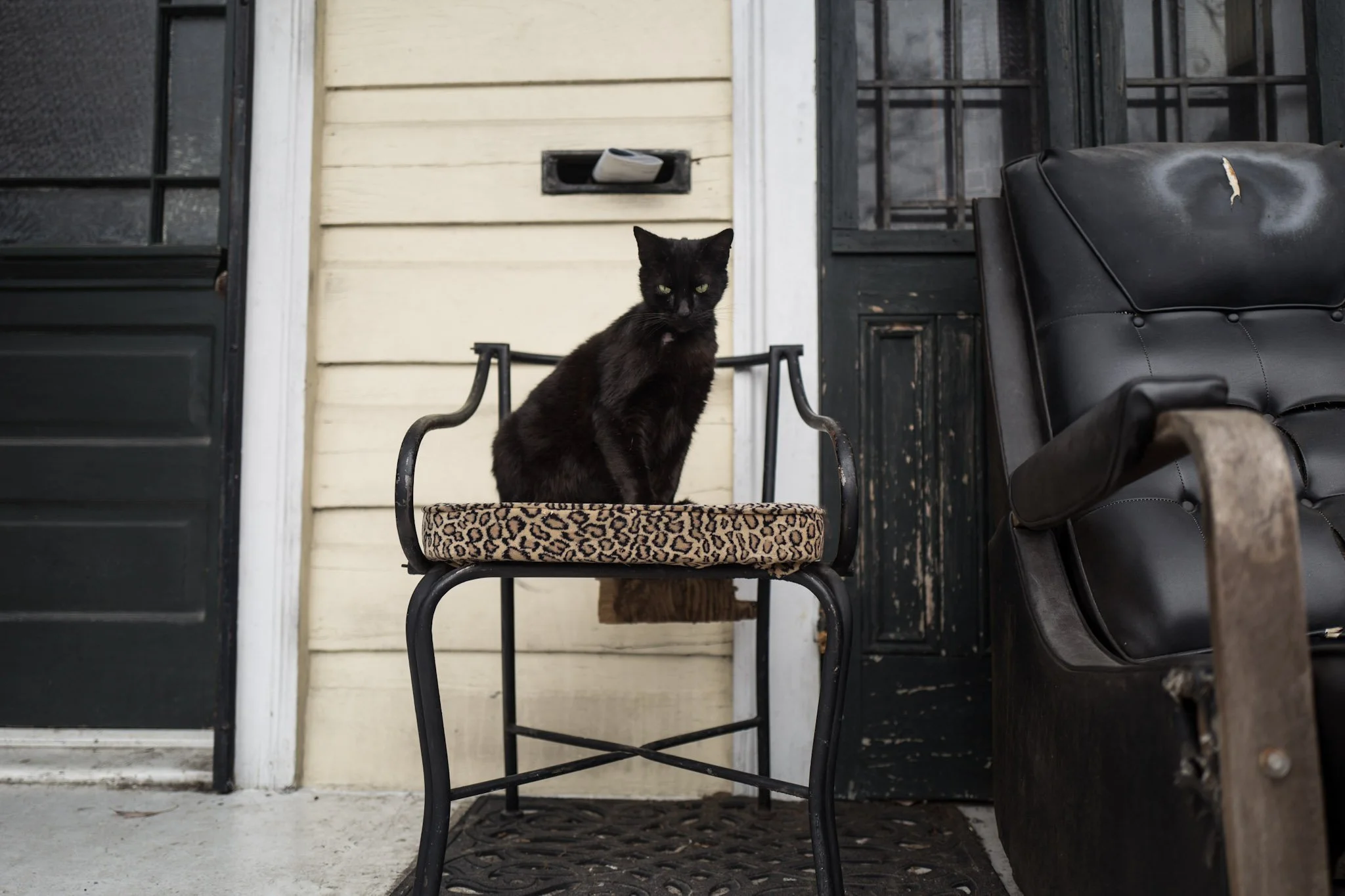 A black cat sitting on a leopard print cat tree in front of a beige house with black trim. There is a black leather chair and a mailbox slot on the house. The scene is near a door with a black window.