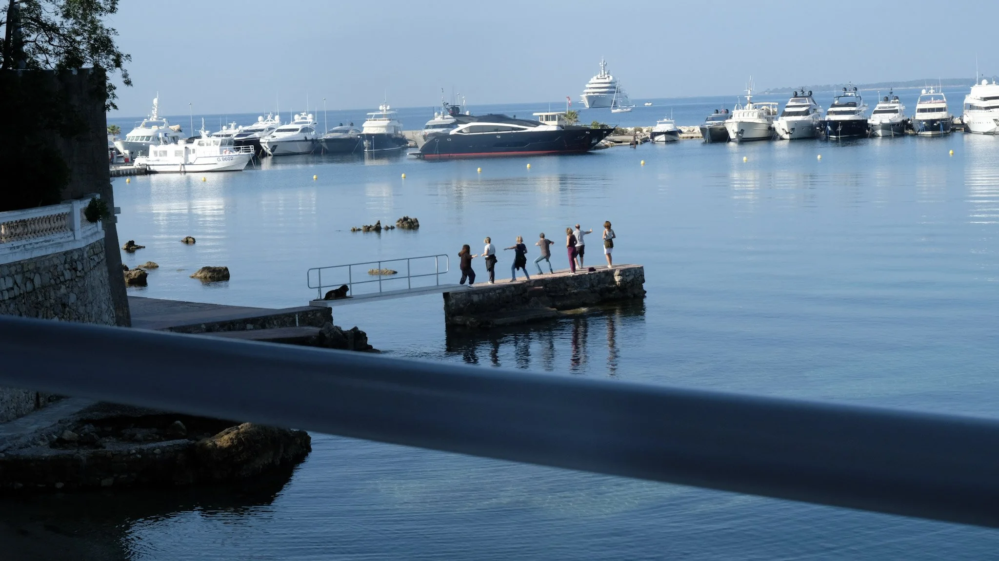 A marina with multiple yachts and boats docked, a group of people and a dog standing on a small pier in the water, with a large cruise ship in the background on the open sea.