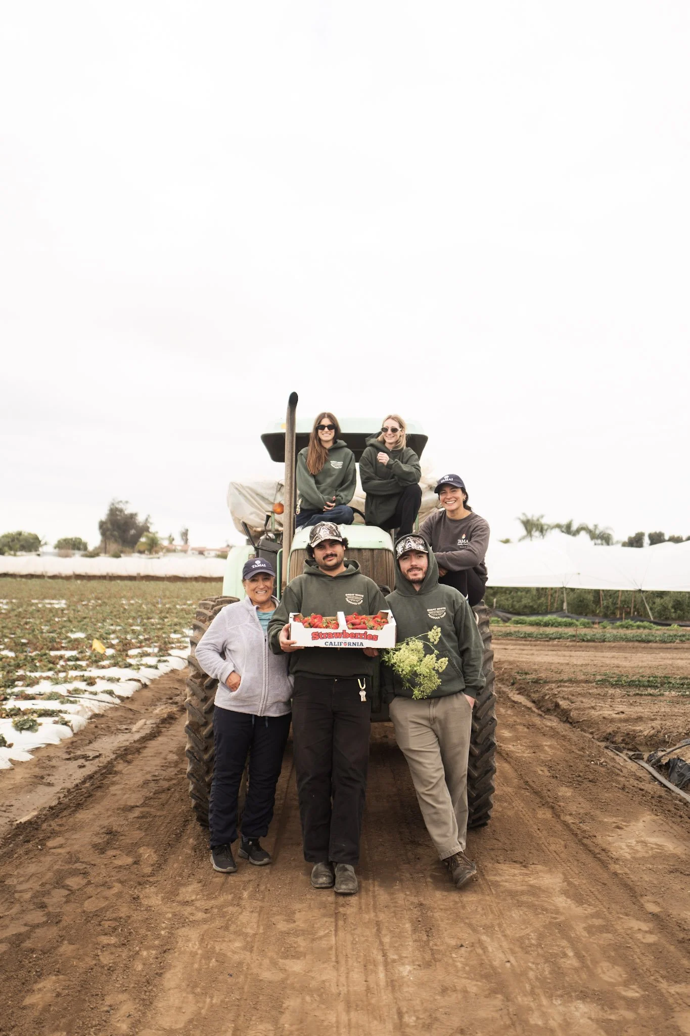 Group of people standing in a strawberry field with a tractor and a cart with strawberries, smiling for the photo.