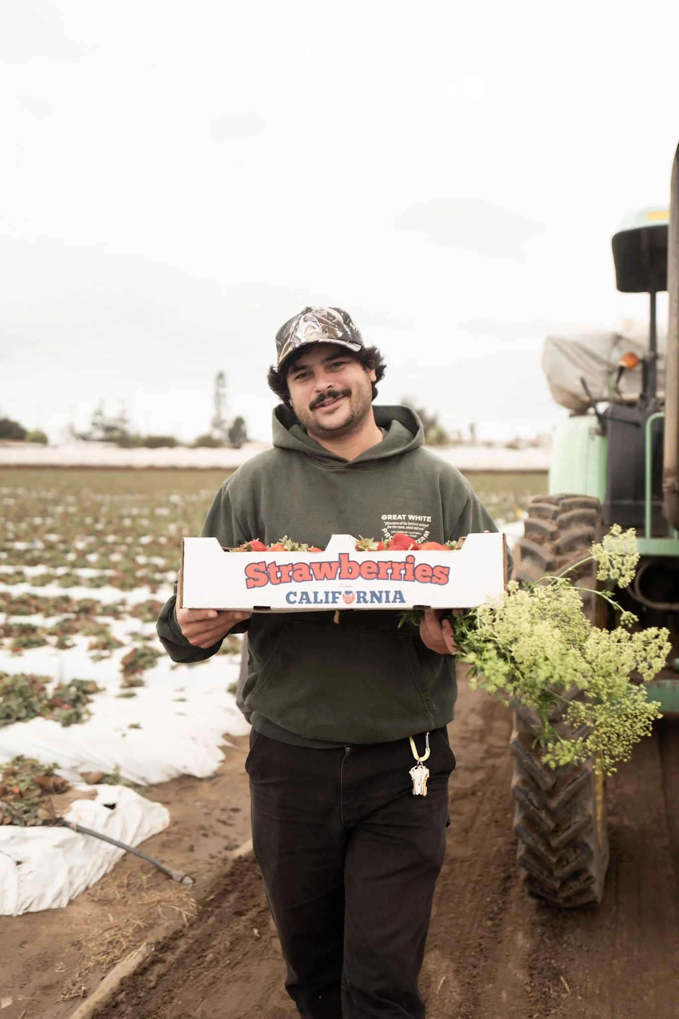 A man smiling while holding a box of strawberries in a strawberry farm. He's wearing a green hoodie, black pants, and a camouflage cap. There is farming equipment and strawberry plants in the background.