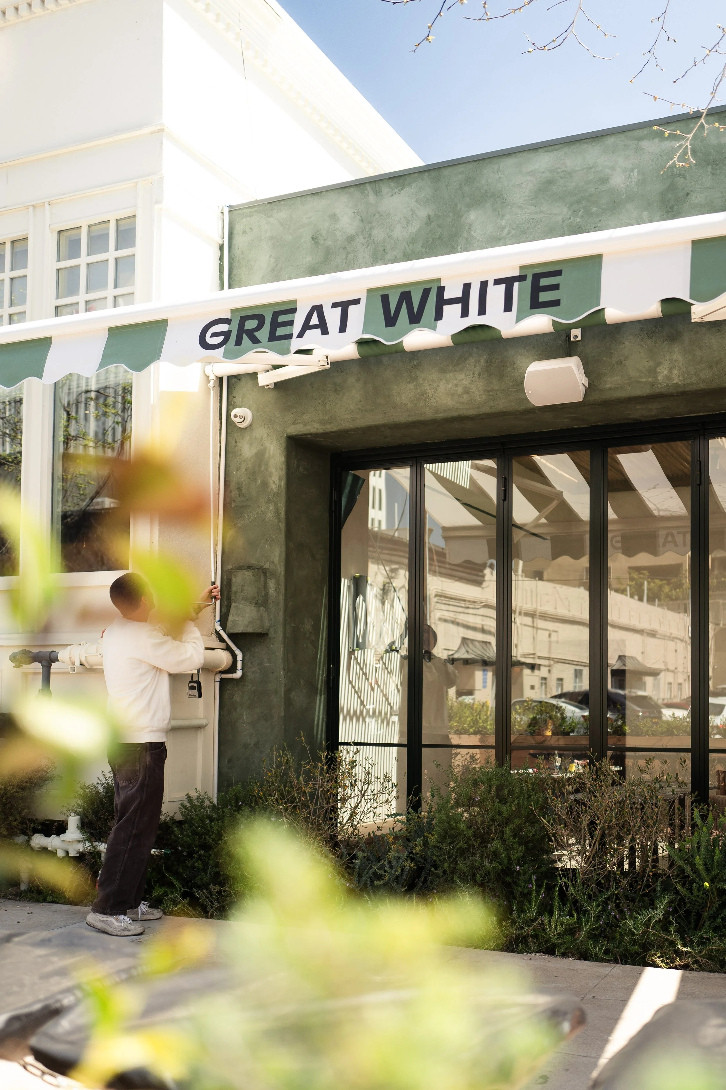 A person in a white shirt and gray pants working on a plumbing pipe outside a building. The building has a green exterior wall, large windows, and a white awning with green stripes that has the words "GREAT WHITE" on it. There are plants and bushes i