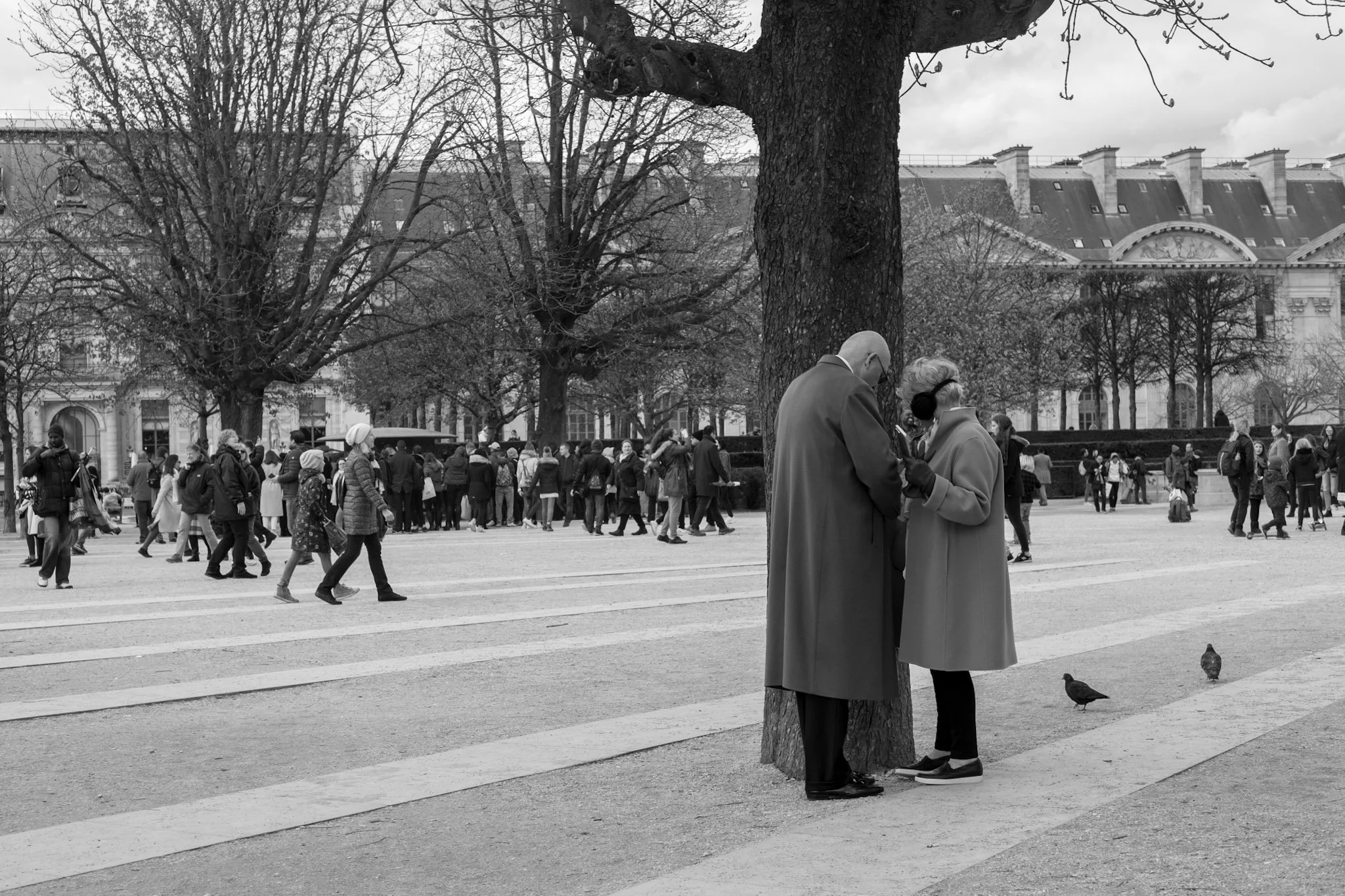 Two women in coats and glasses standing by a tree, engaging in conversation in a busy park on a cloudy day.
