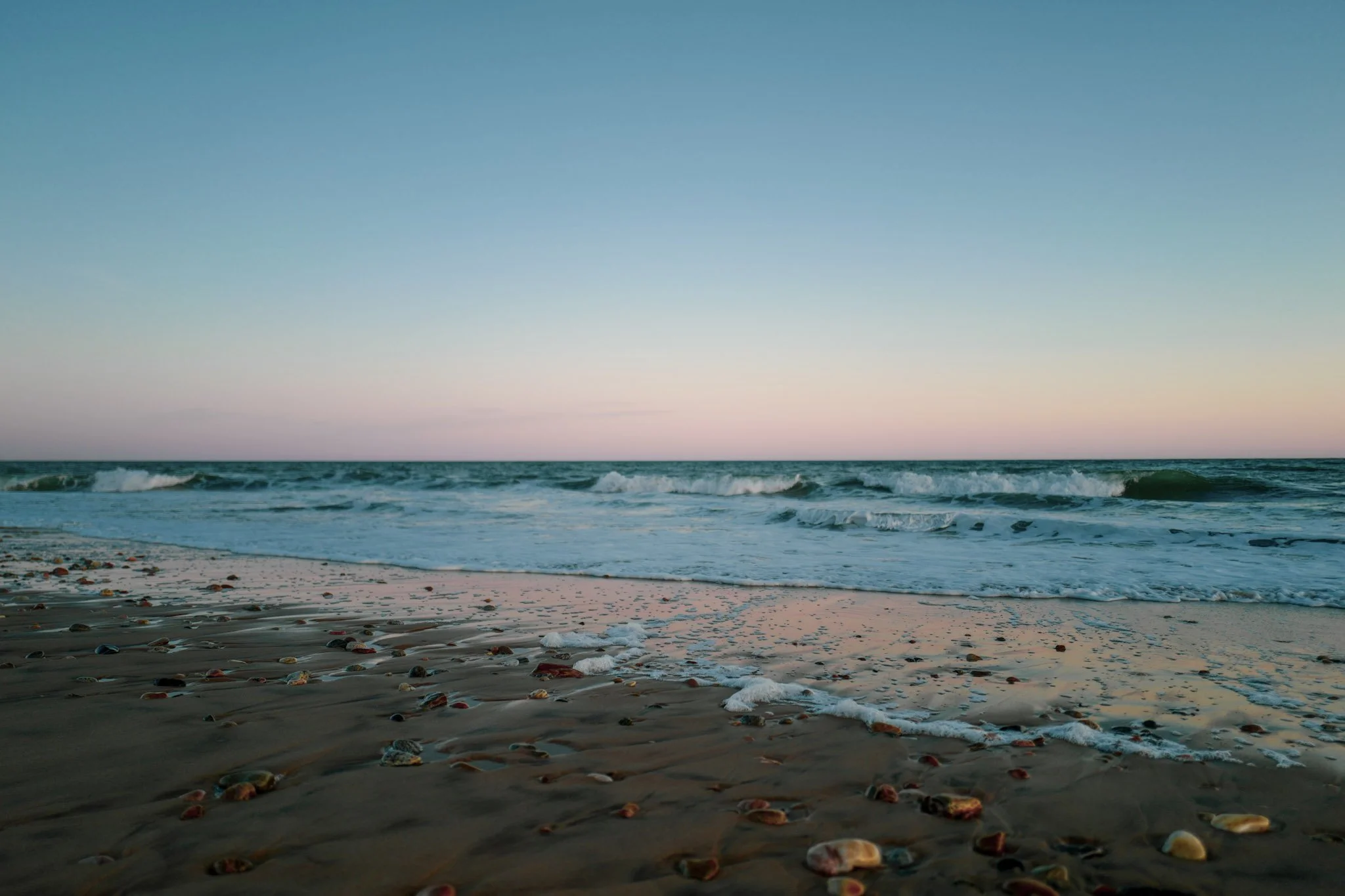 Beach shoreline with small waves crashing, sandy beach scattered with colorful shells, and a pastel-colored sky at sunset or sunrise.
