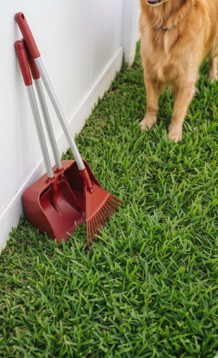 Red snow shovel, broom, and dustpan leaning against a white wall in a grassy yard, with part of a golden retriever visible.