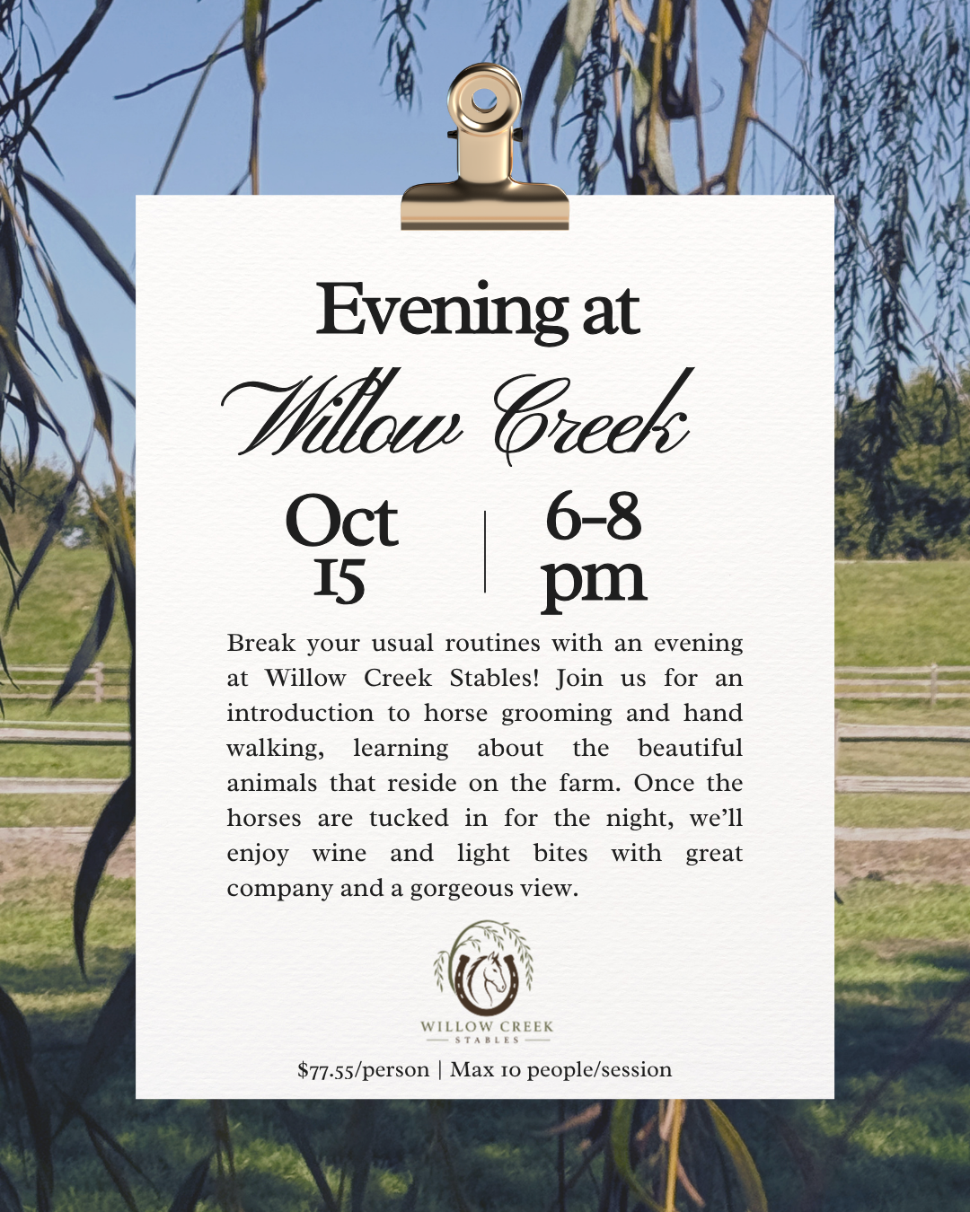 Evening at Willow Creek