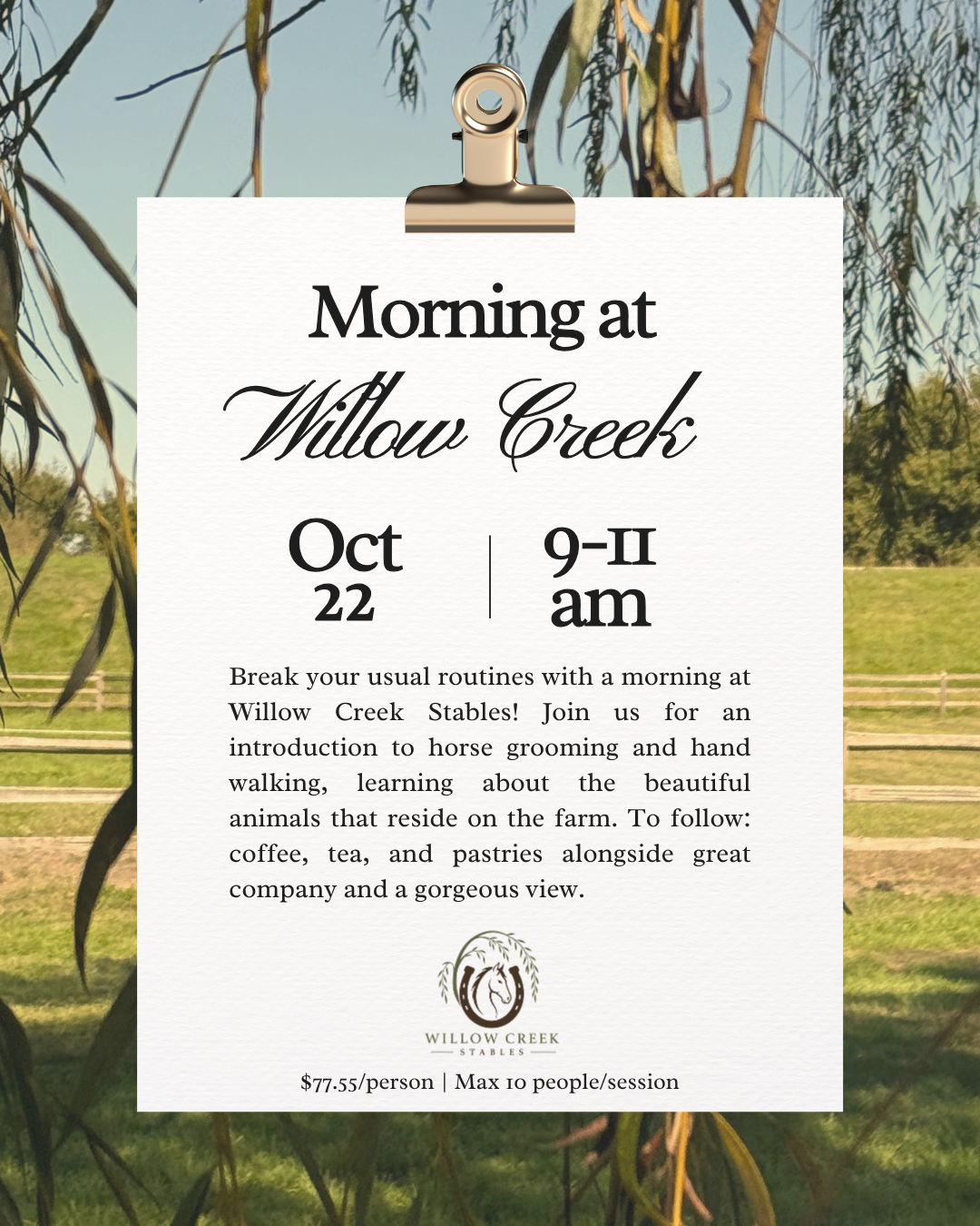 Morning at Willow Creek.png