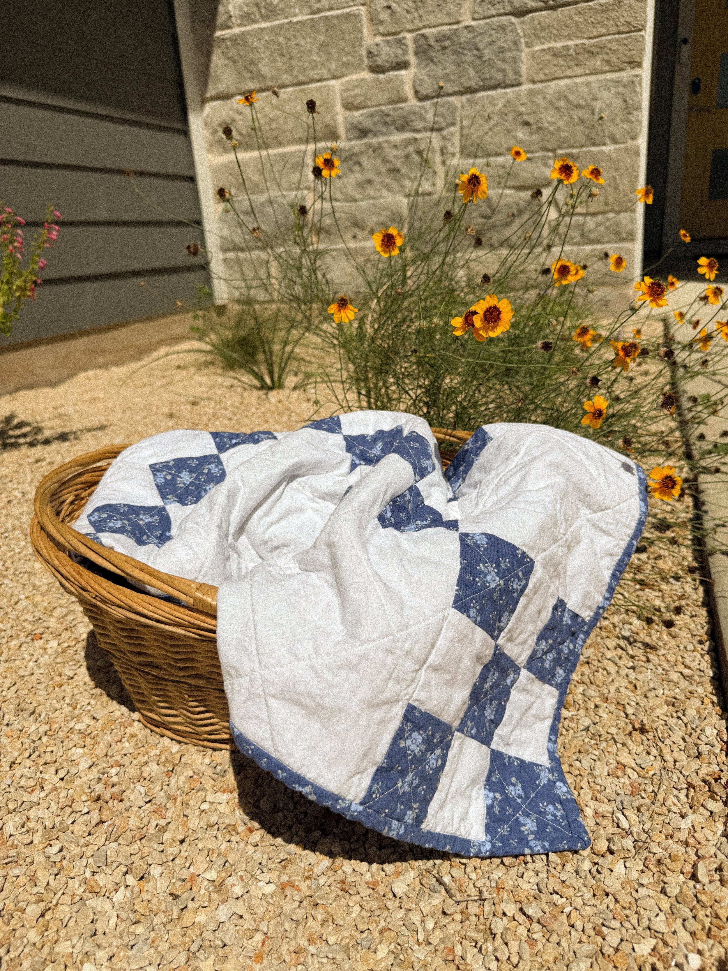 A wicker basket with a blue and white quilted cloth cover, sitting on gravel ground outside a house. Behind it, there are yellow flowering plants with thin green stems.