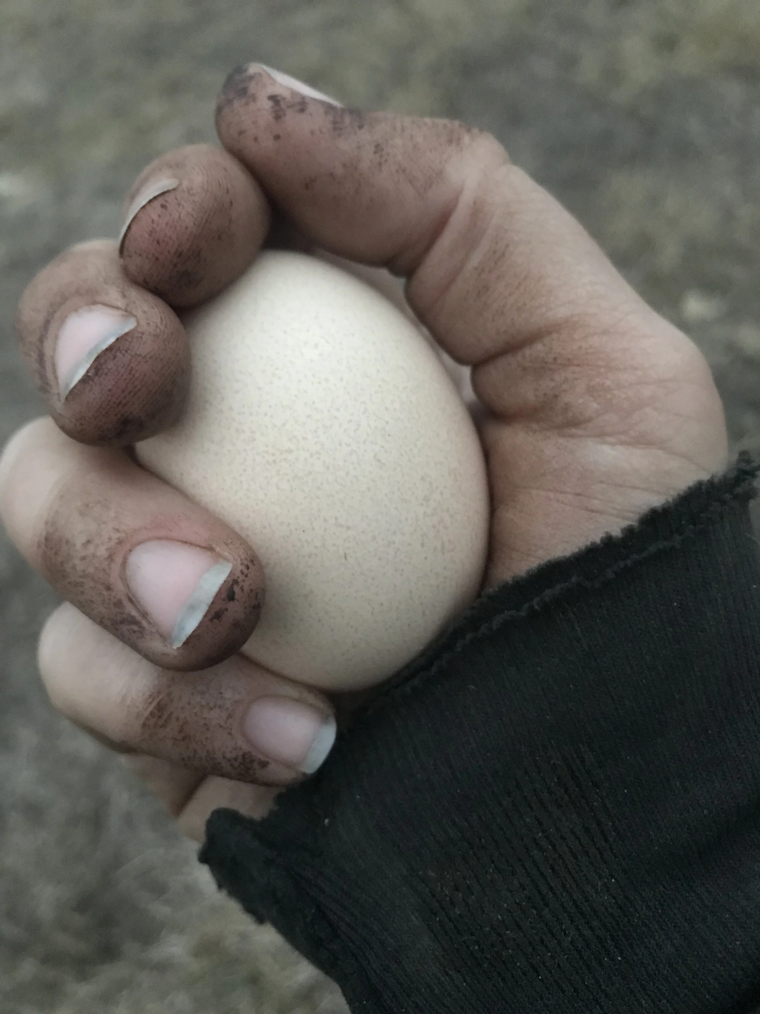 Close-up of a person's dirt-stained hand gripping a beige egg, wearing black clothing.
