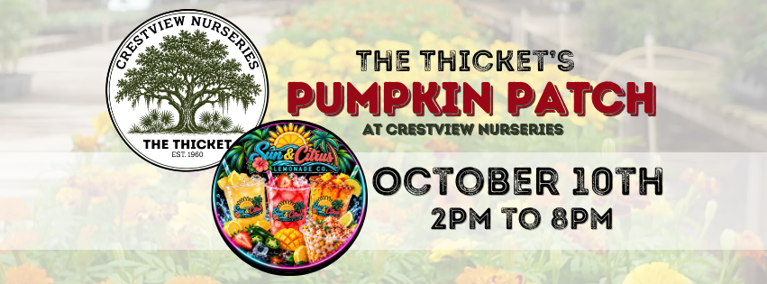 FALL AT THE THICKET- Saturday Hours 