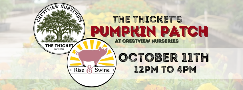 FALL AT THE THICKET- Sunday Hours