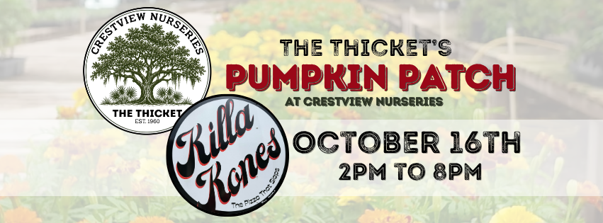 FALL AT THE THICKET- Friday Hours
