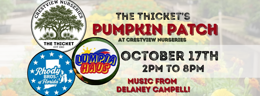 FALL AT THE THICKET- Saturday Hours