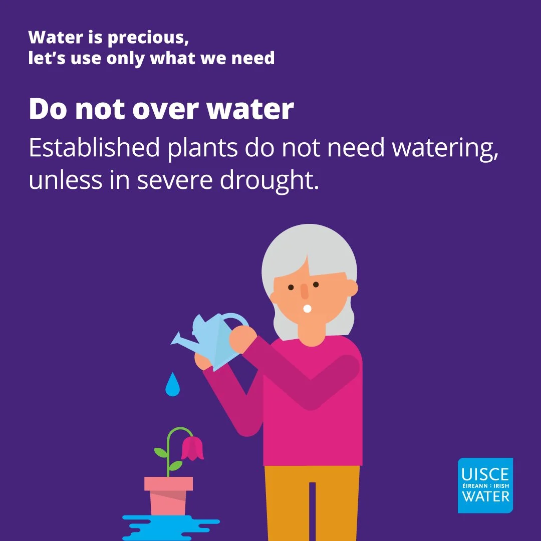 IW Conservation_Do not over water_1080x1080p.jpg