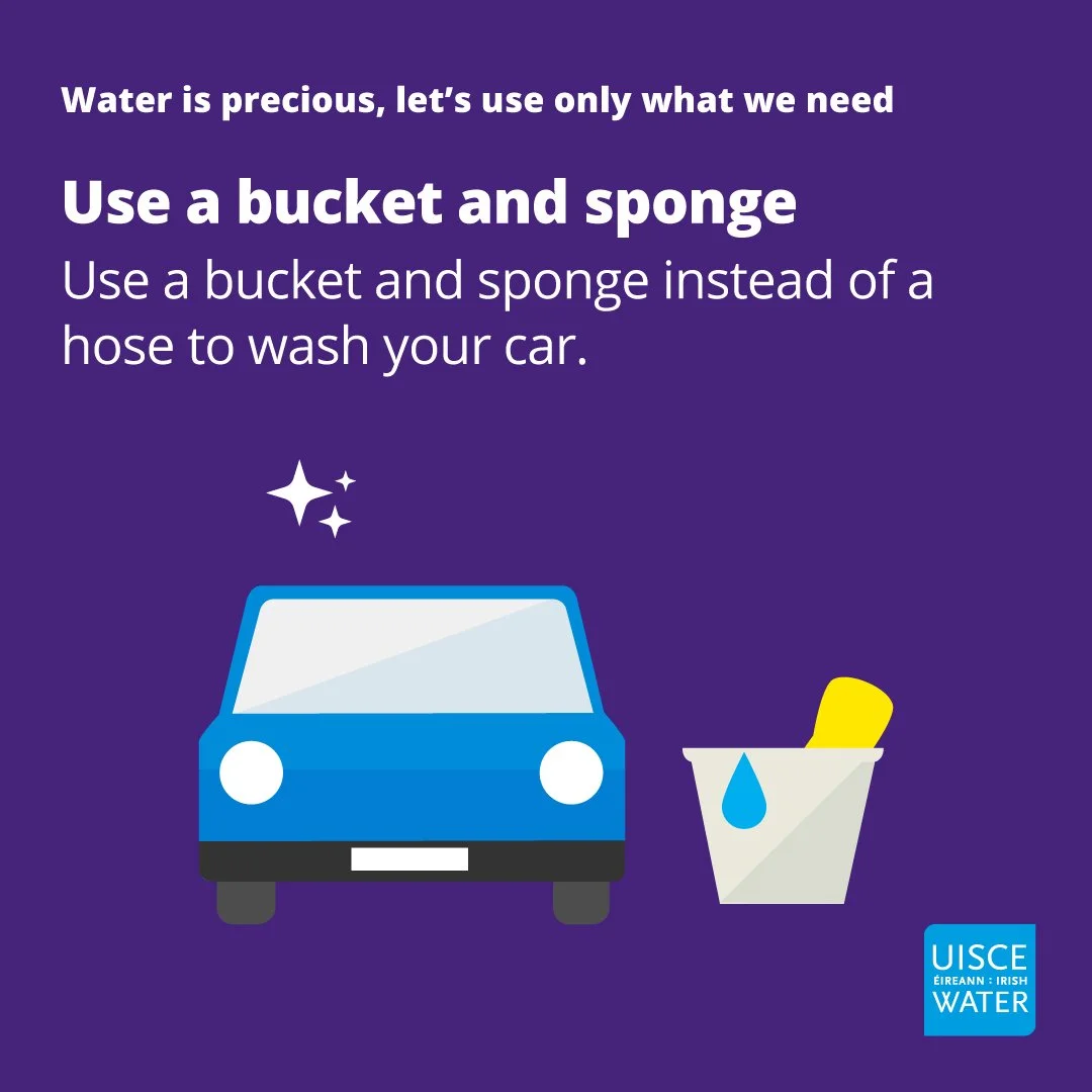 IW_Conservation_use a bucket and sponge_square.mp4.jpg