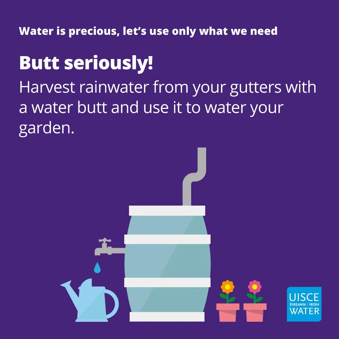 IW_Conservation_butt seriously!_square.jpg