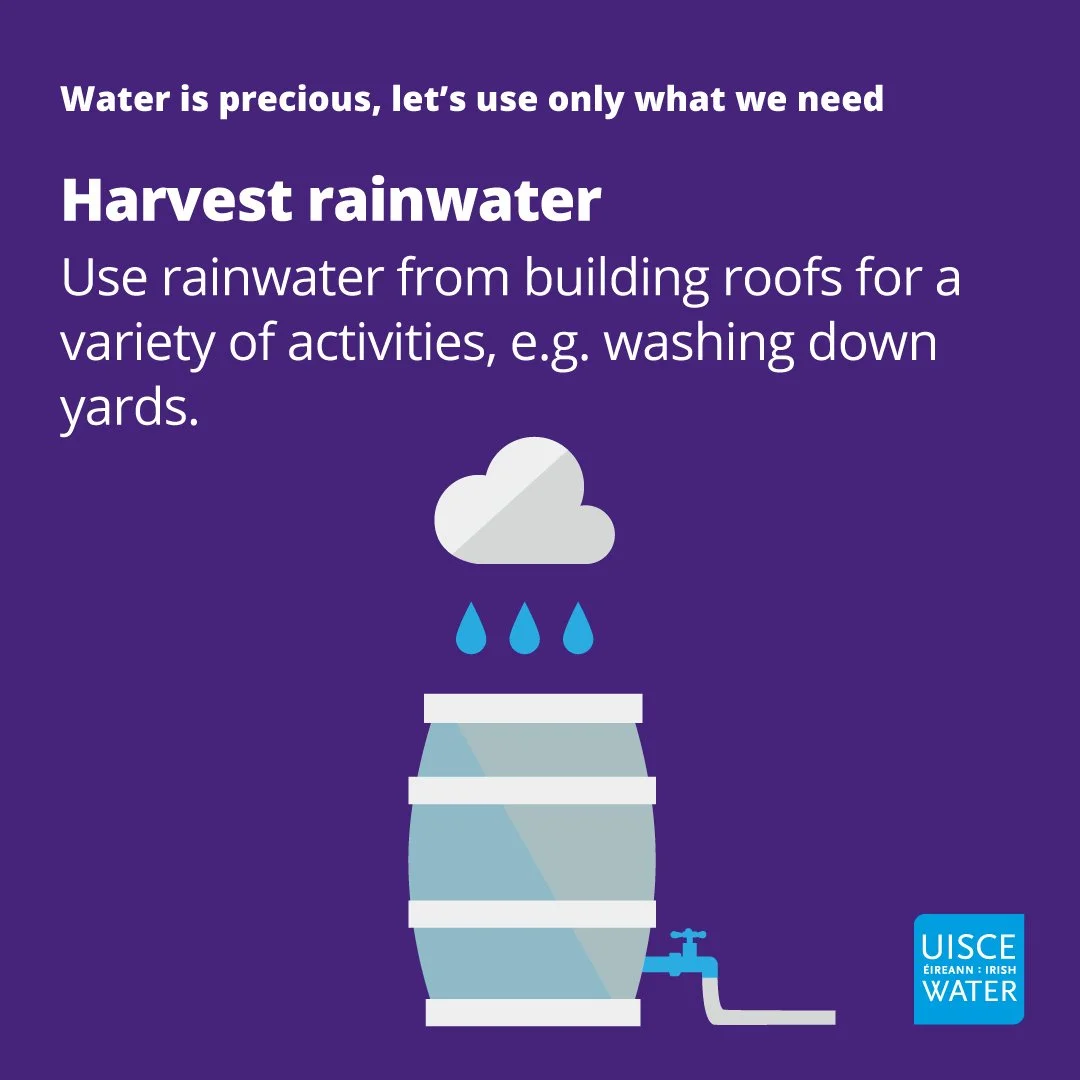 IW_Conservation_harvest rainwater_square.jpg