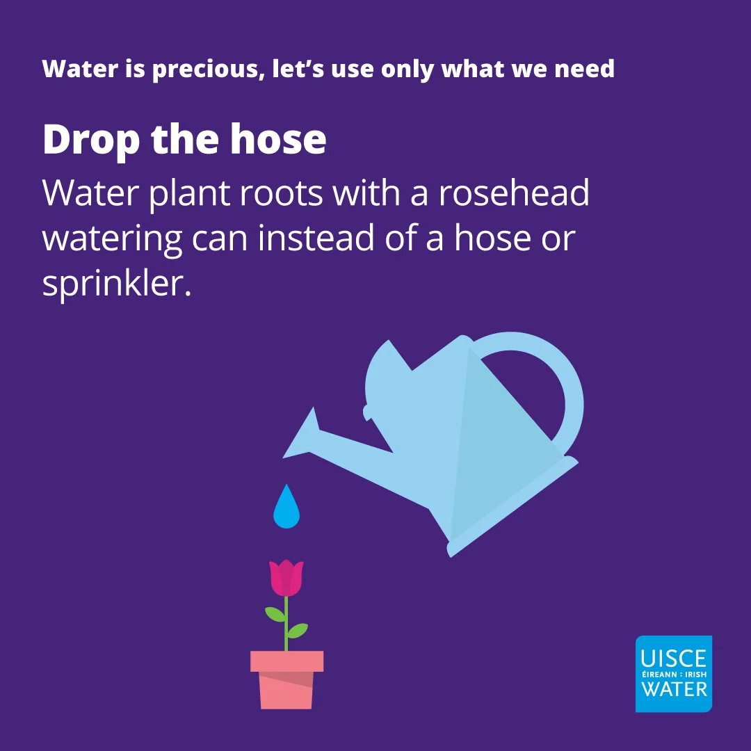 IW_Conservation_drop the hose_square.jpg