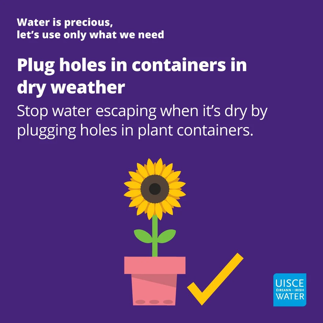 IW Conservation_Plug holes in containers_1080x1080p.jpg
