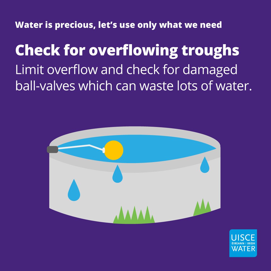 IW_Conservation_check for overflowing troughs_square.jpg