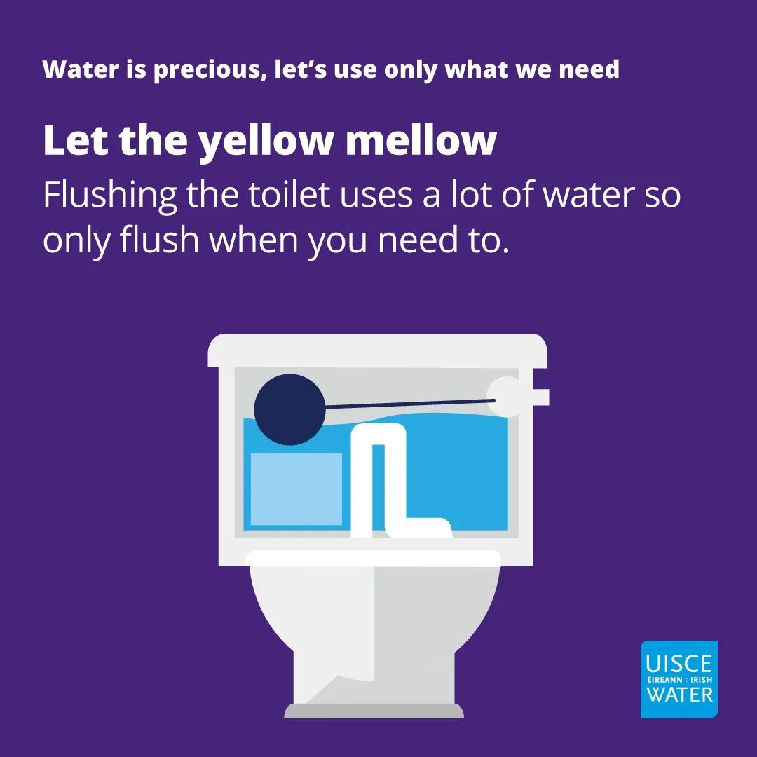 IW_Conservation_let the yellow mellow_square.jpg