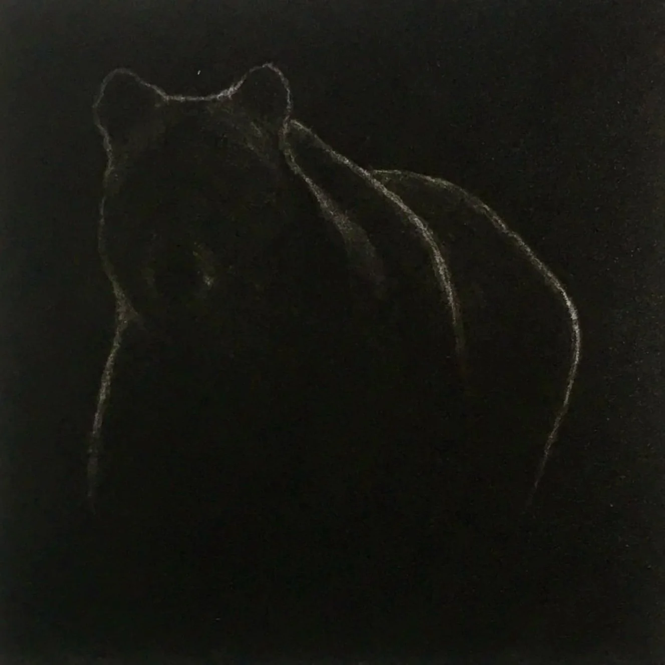 ours+manie%CC%80re+noire.jpg