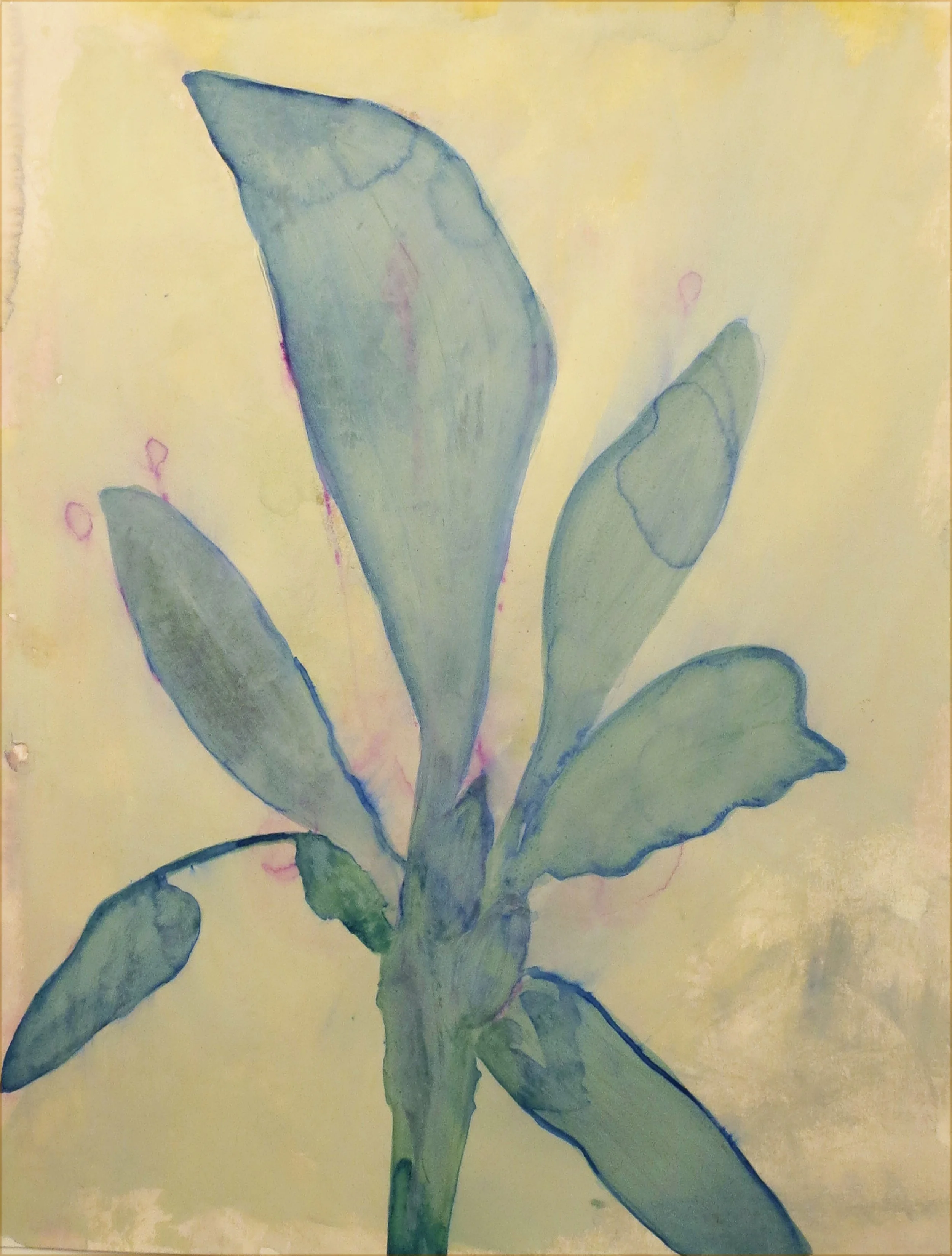 23-bota-50x65cm.jpg