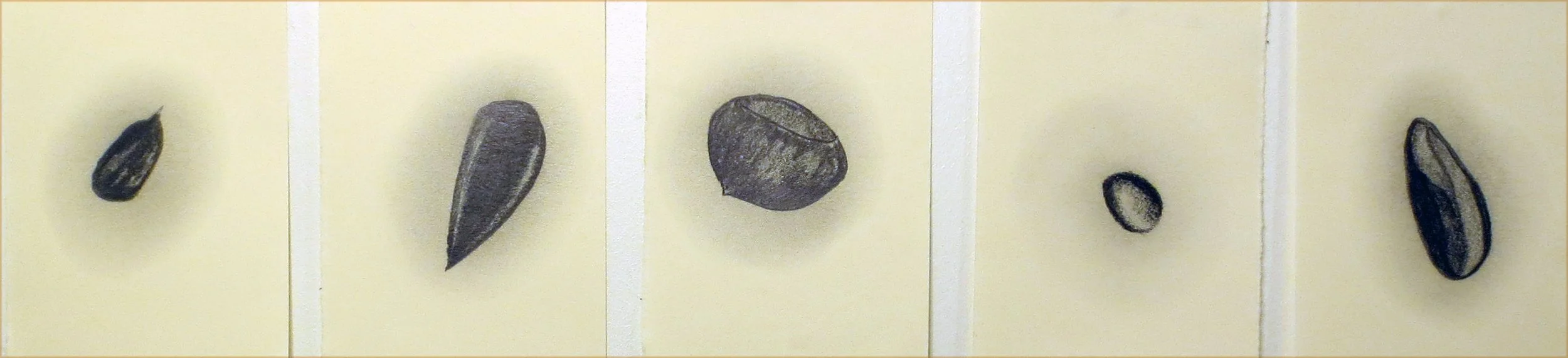 34-bota-5x(15x21)cm.jpg