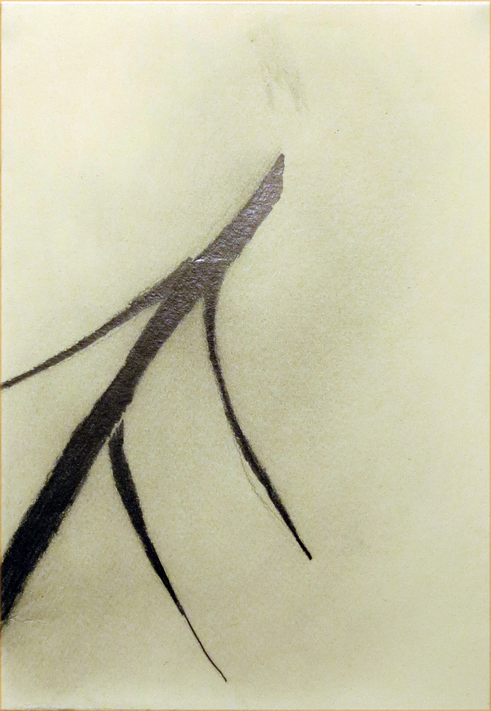 51-bota-50x70cm.jpg