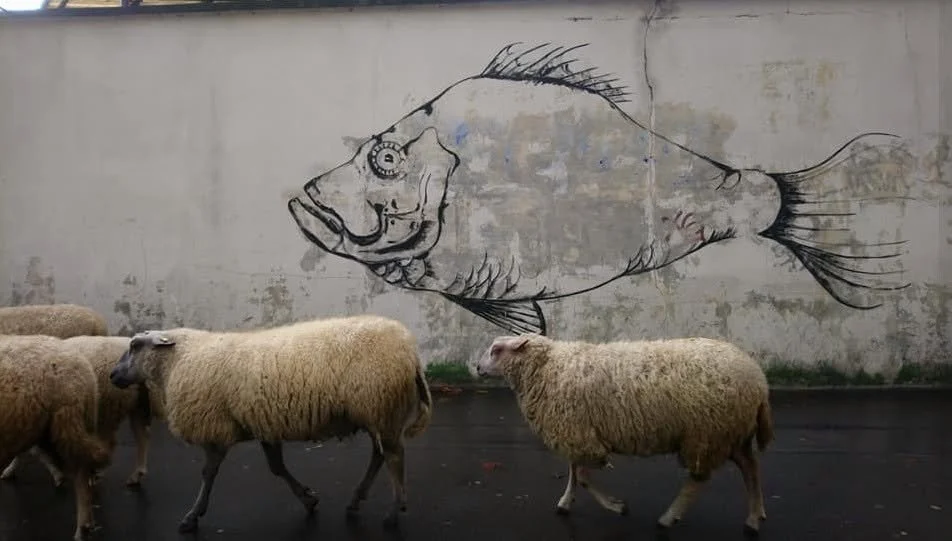 Mouton marchant devant une fresque murale représentant un grand poisson.