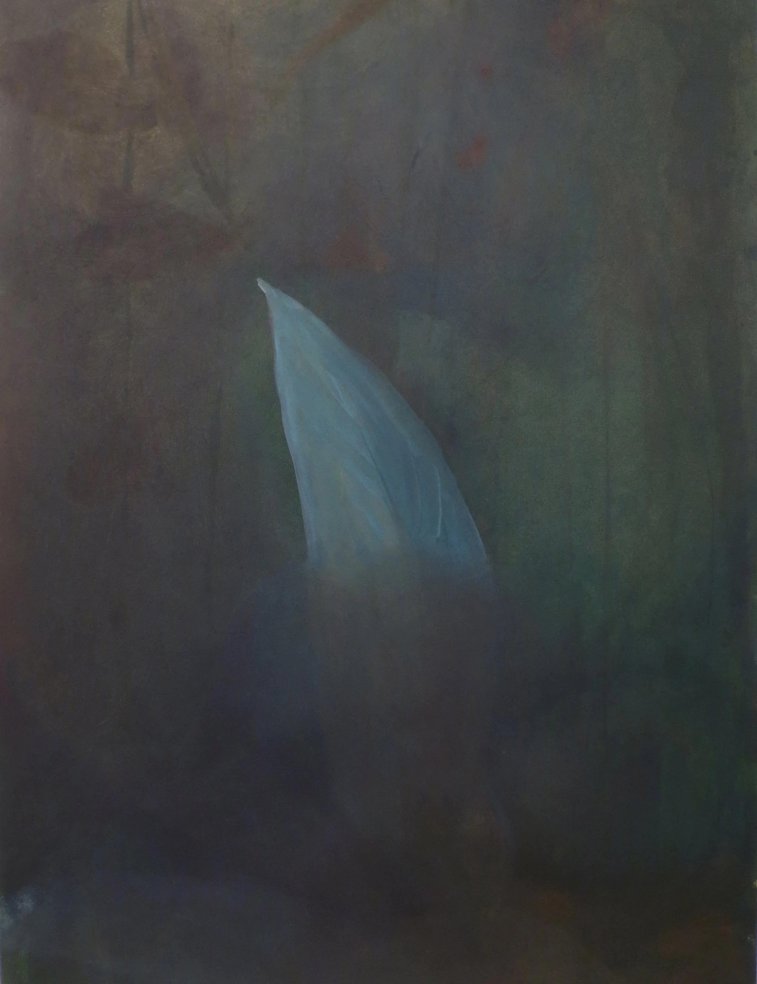 15-bota- 56x76 cm.jpg