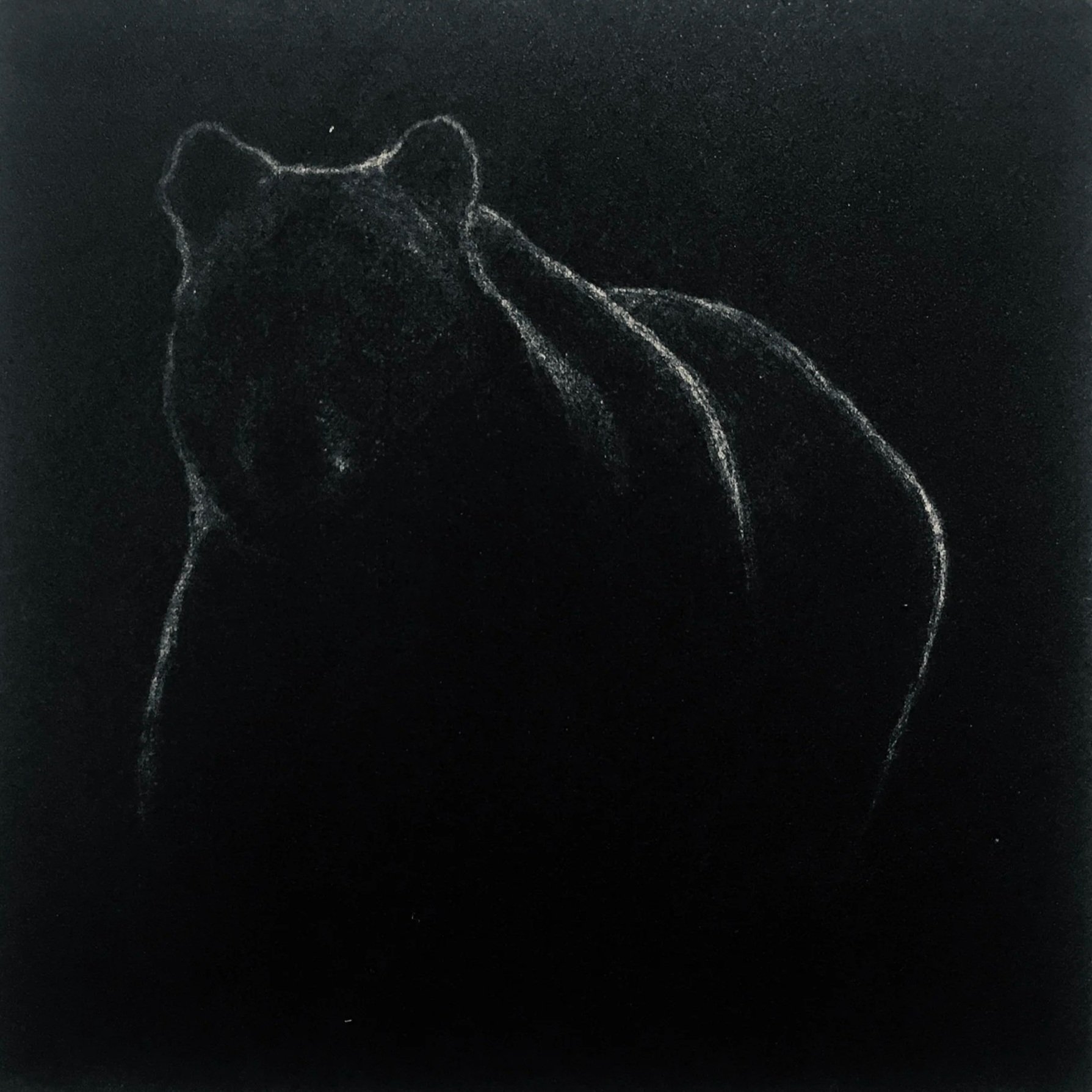 Dessin à la craie blanche représentant un chat assis sur un fond noir.