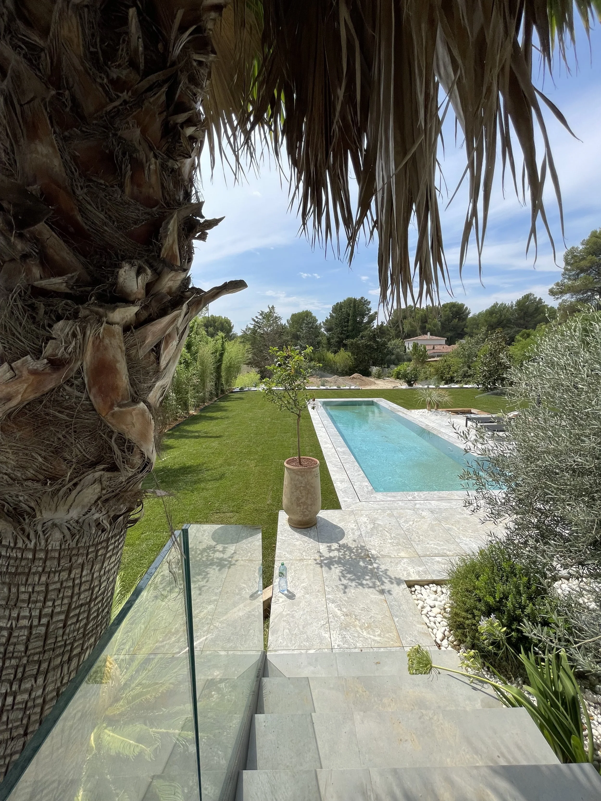 Landscaped backyard with a rectangular swimming pool, manicured lawn, palm trees, olive trees, and stone patio under a blue sky.