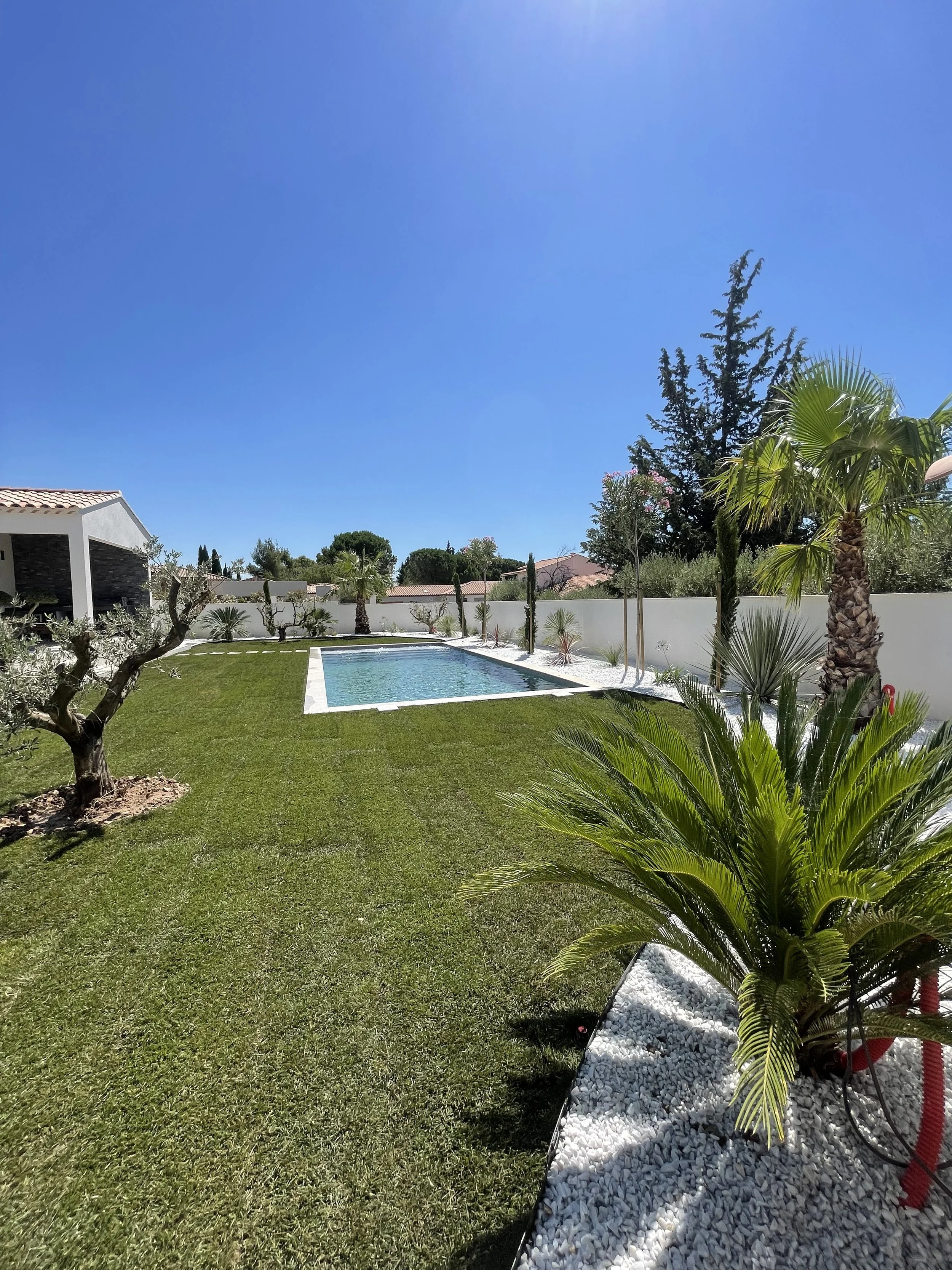 Sunny landscaped backyard with a rectangular swimming pool, manicured lawn, palm trees, white stone beds, and Mediterranean-style homes under a clear blue sky
