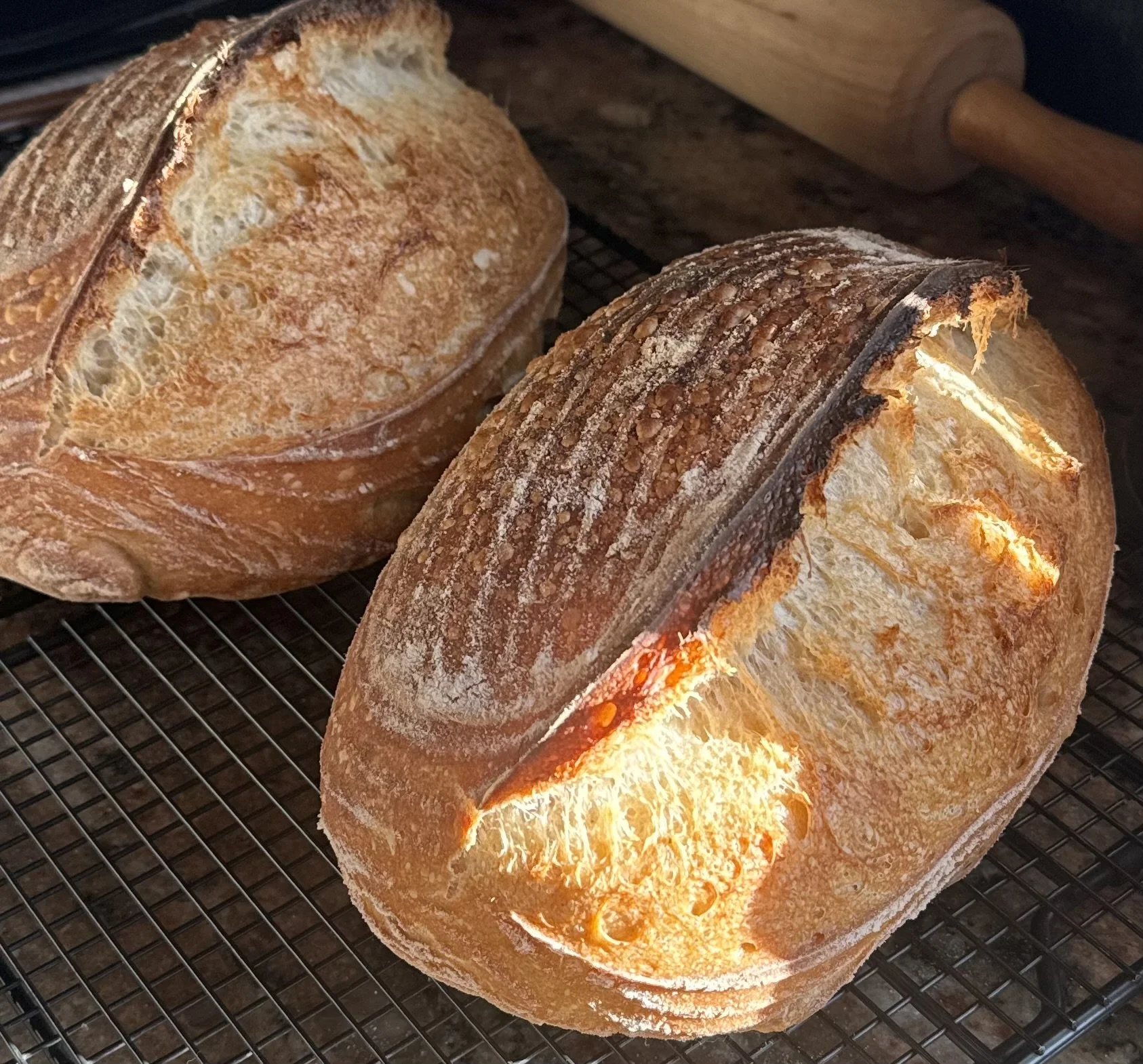 Private Sourdough Baking Course (Intermediate)