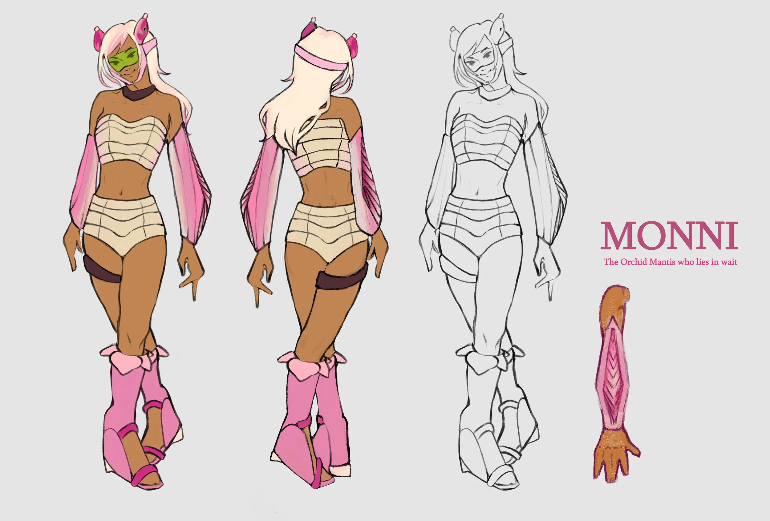 Monni the Orchid Mantis