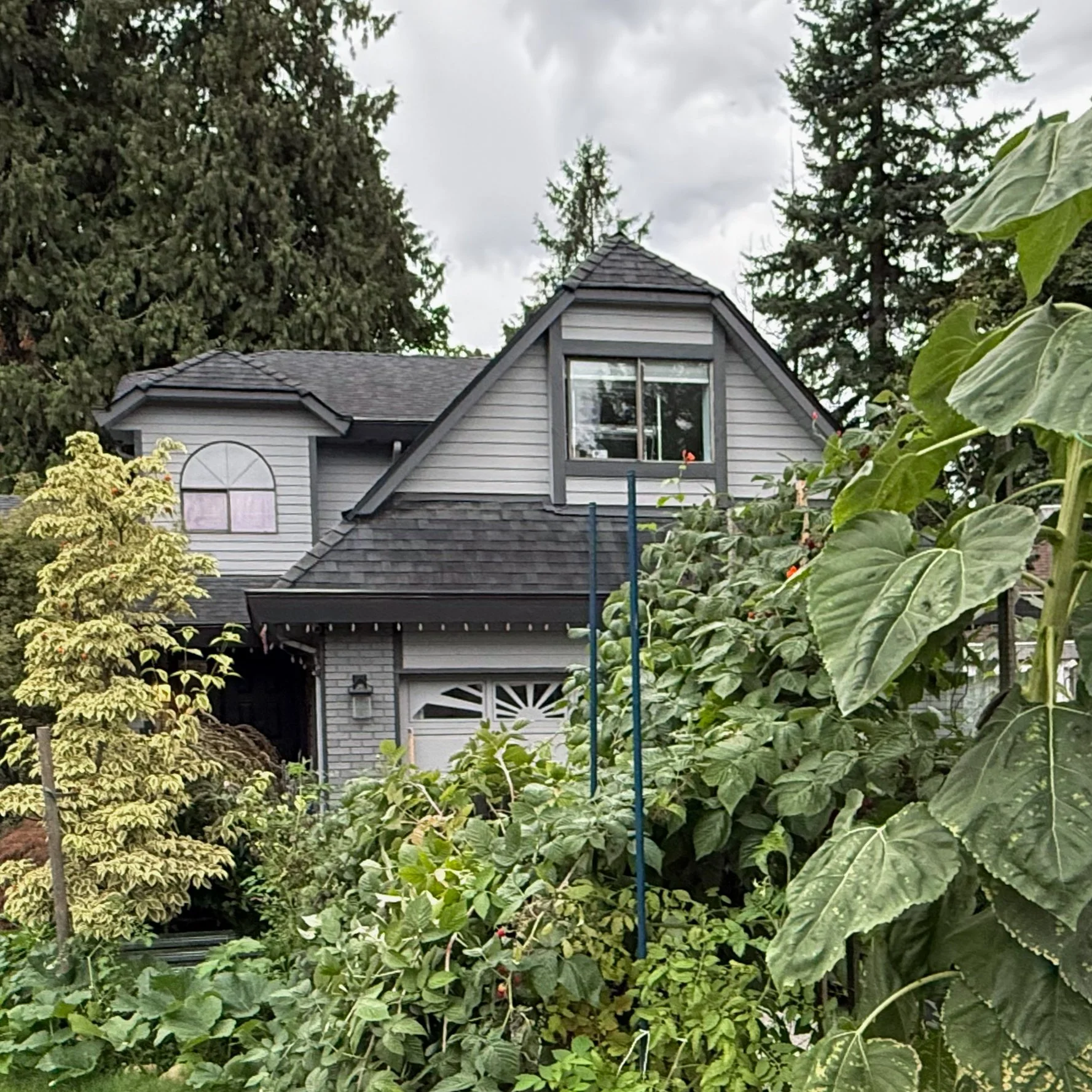 A house with gray exterior and gable roof surrounded by lush green trees and plants, with cloudy sky overhead.