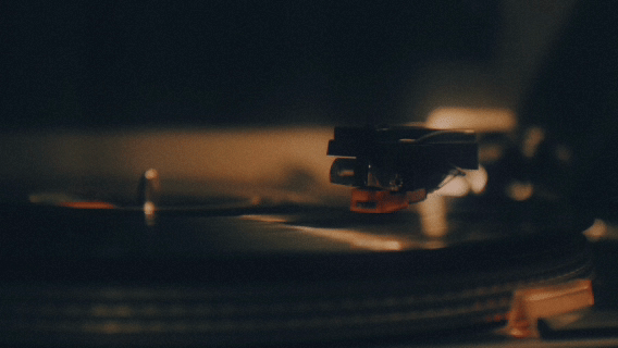 0829 (1)-copy.gif