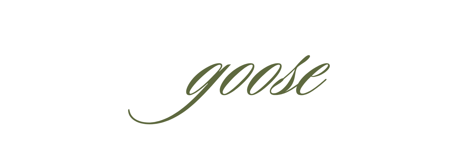 Stylized text with the word "goose" written in a cursive font.