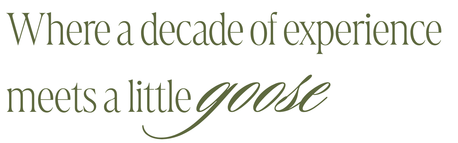 Decorative quote text saying 'Where a decade of experience meets a little goose' in green font.