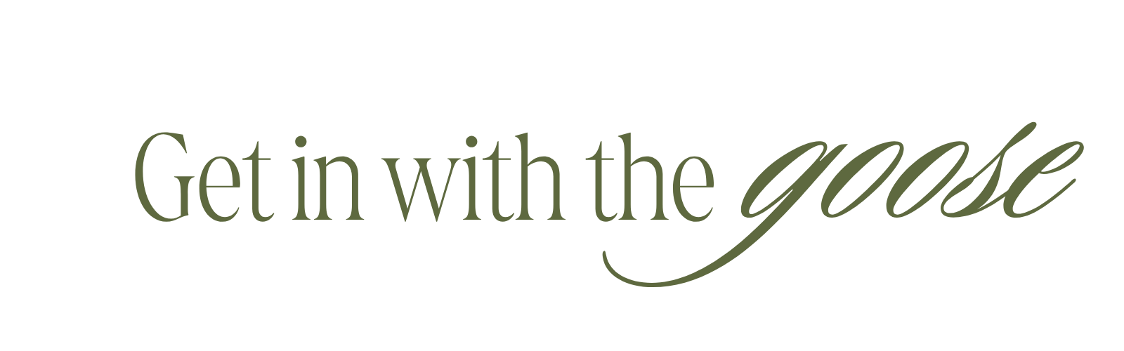 Text reading 'Get in with the goose' in a decorative font.