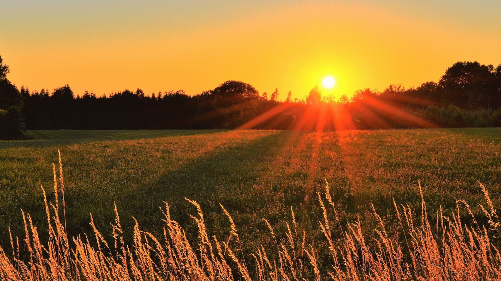 Sezono darbai prasidėjo – kaip suplanuoti paminklo užsakymą be streso?